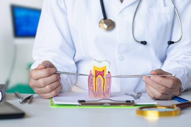Best Emergency Root Canal Treatment in Chariton, IA